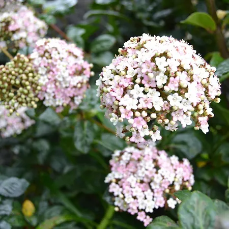 Tradicampo-casa Do Tanque By Interhome Dom wakacyjny