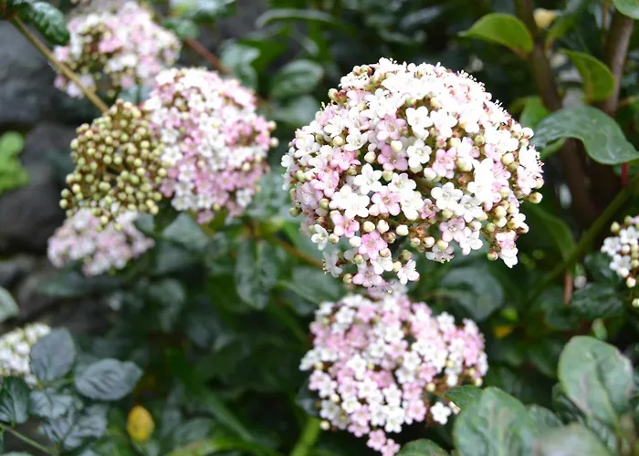 Tradicampo-casa Do Tanque By Interhome Dom wakacyjny